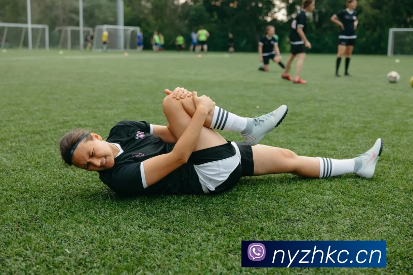 九游9官方入口服务体系